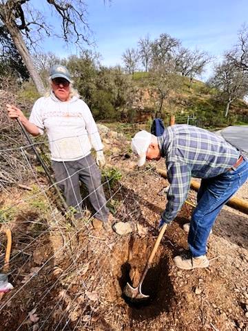 Replacing the broken fence post